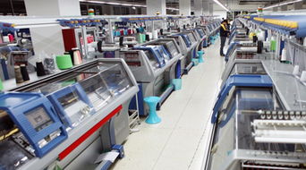 數字化轉型 毛衫企業的“大翻身”之路